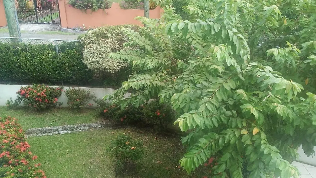 Windy #4 Marina Walk Apartment Gros Islet 0*,  Saint Lucia